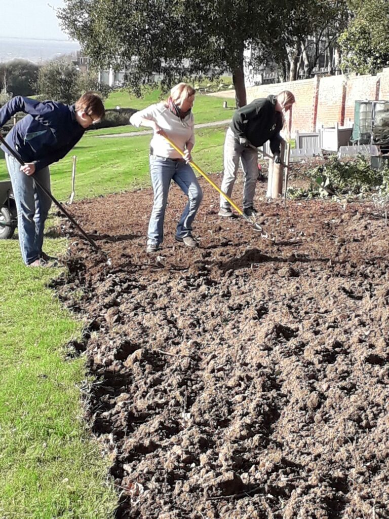 Digging out the Garden
