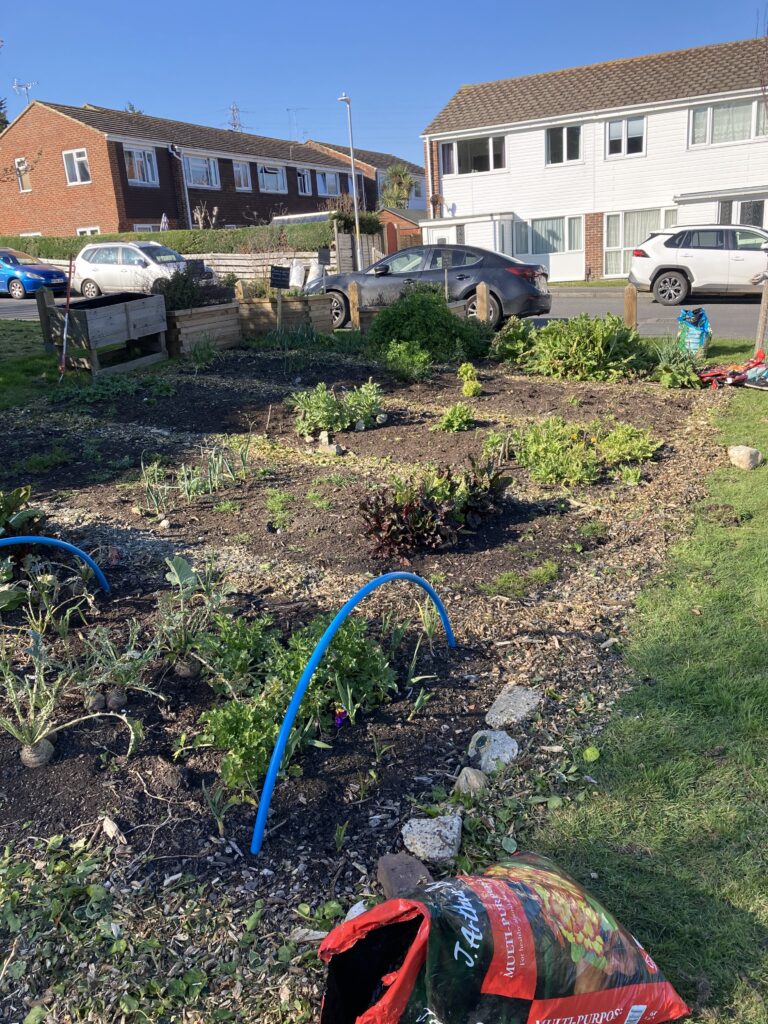 Plots with new wood chip path