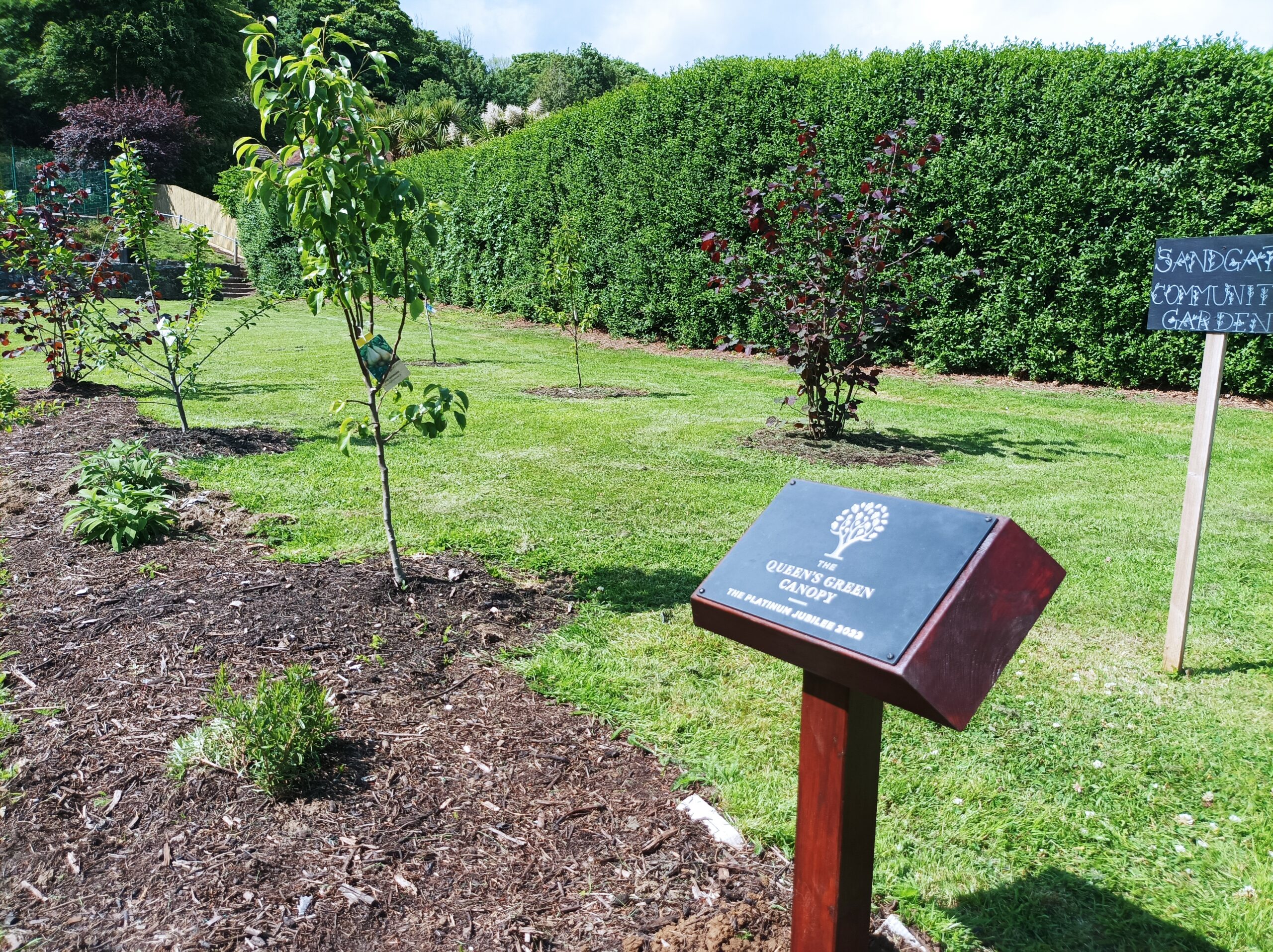 Tree Inspection Reports 2023 – Fremantle Park and Sandgate Park