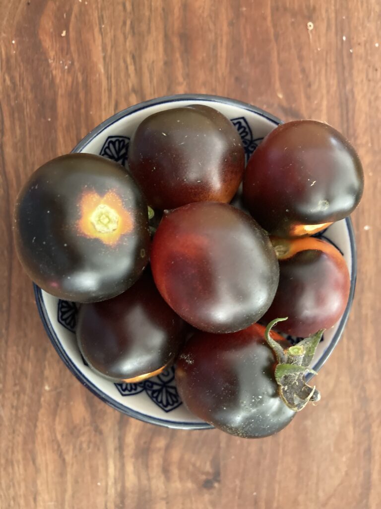 black tomatoes